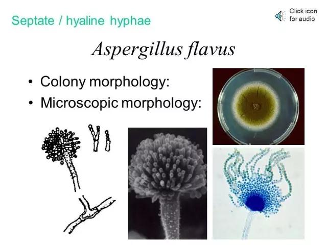 1507794781416027.jpg 微信圖片_20171012155358.jpg