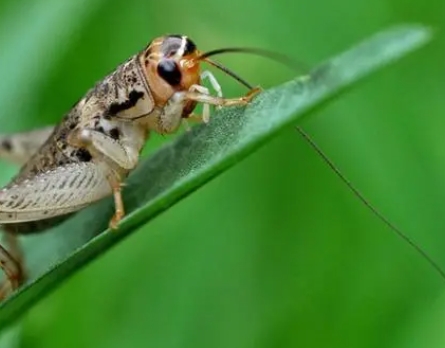 1727666029745049.png 1.png